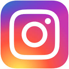 Social Media Marketing Instagram Services offered by Viral We Go