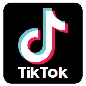 Social Media Marketing TikTok Services offered by Viral We Go